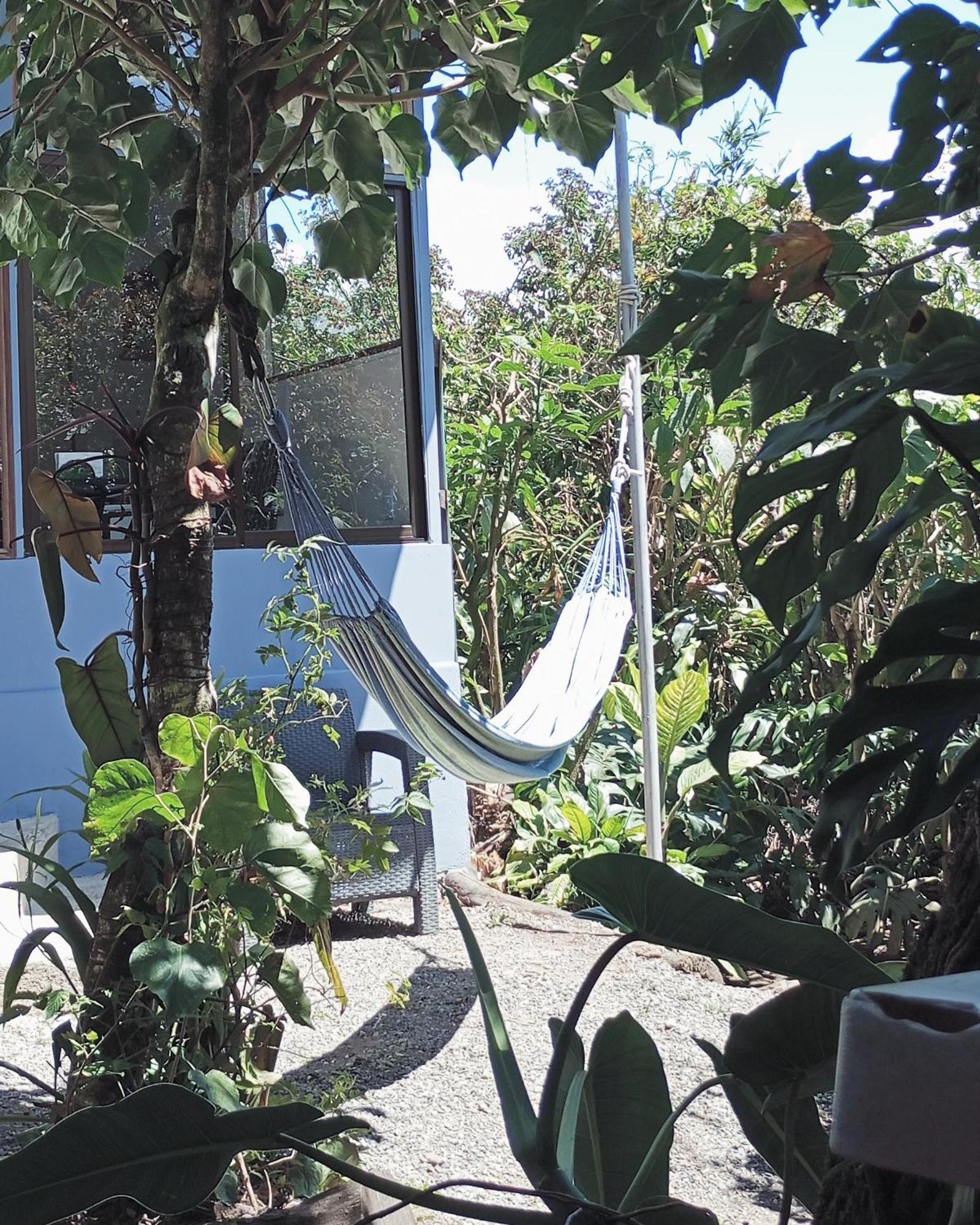 Monteverde Cecropia Paradise Номер фото