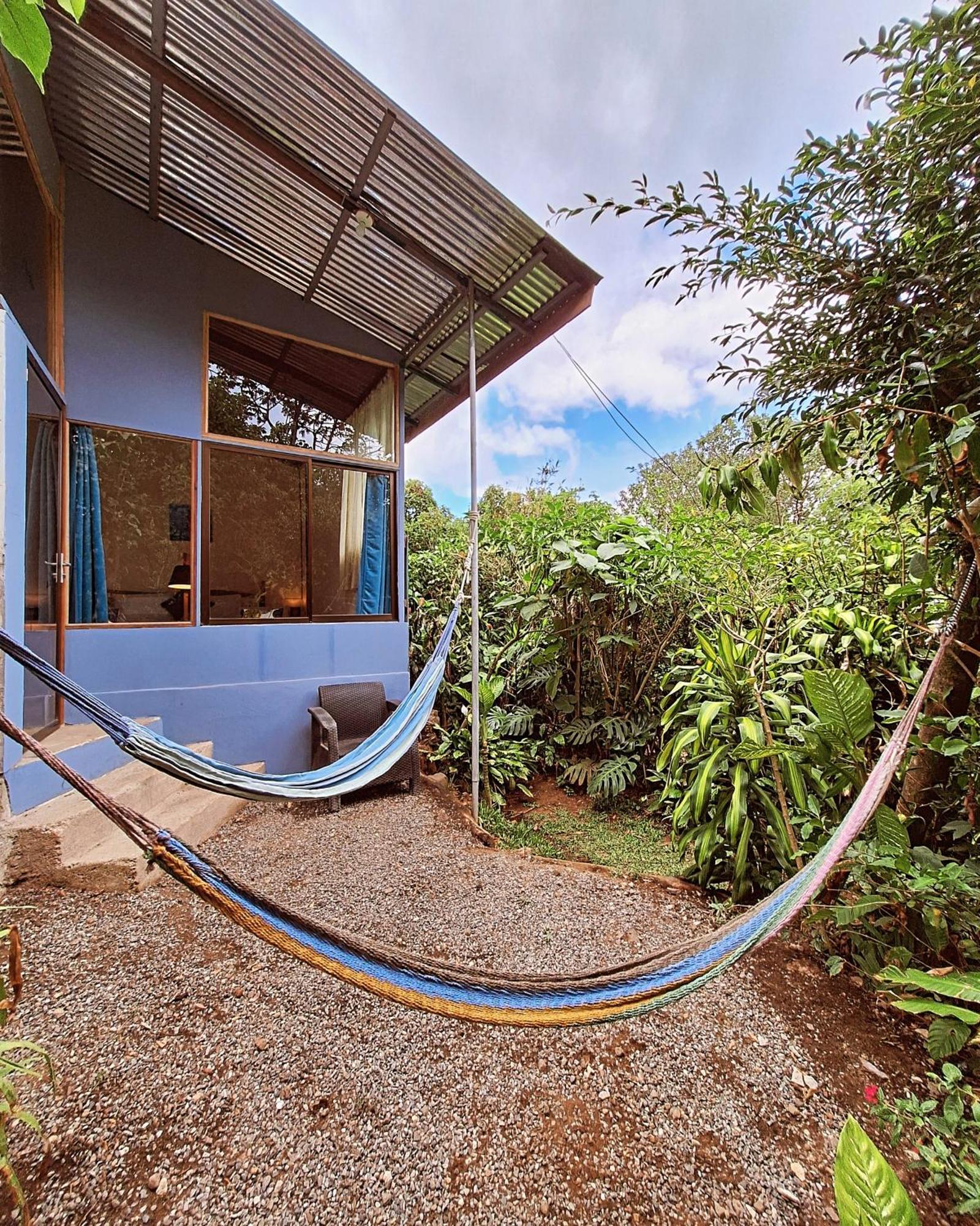 Monteverde Cecropia Paradise Номер фото
