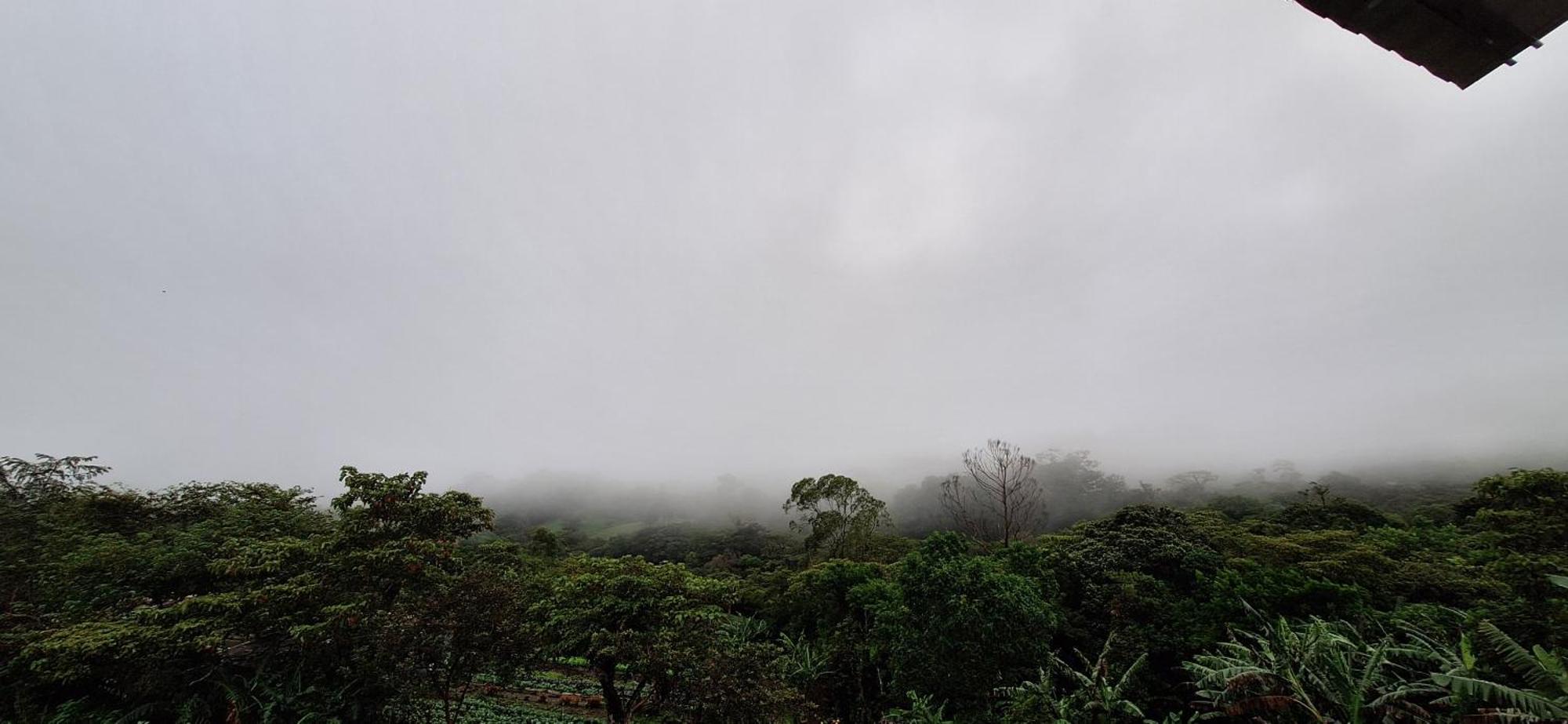 Monteverde Cecropia Paradise Номер фото