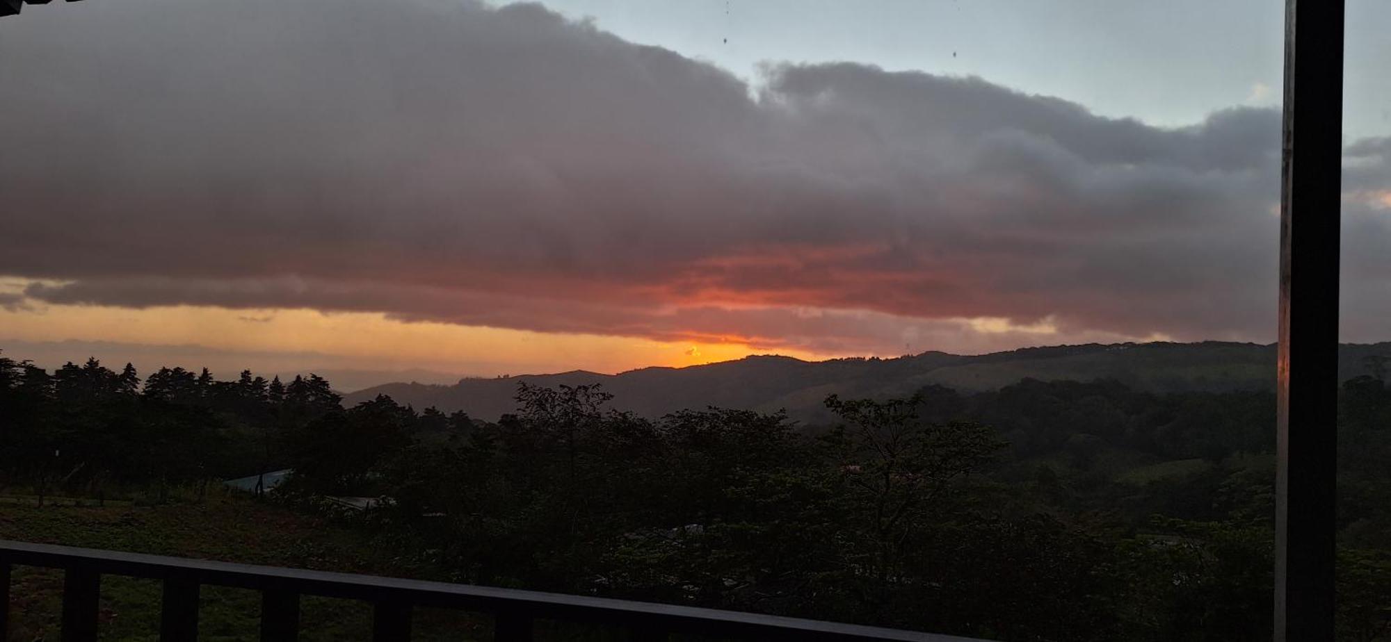 Monteverde Cecropia Paradise Номер фото